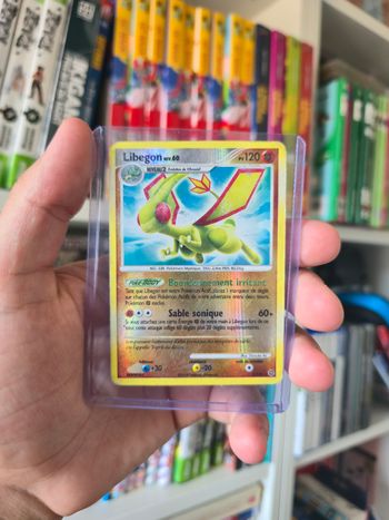 Carte Libegon 5/132