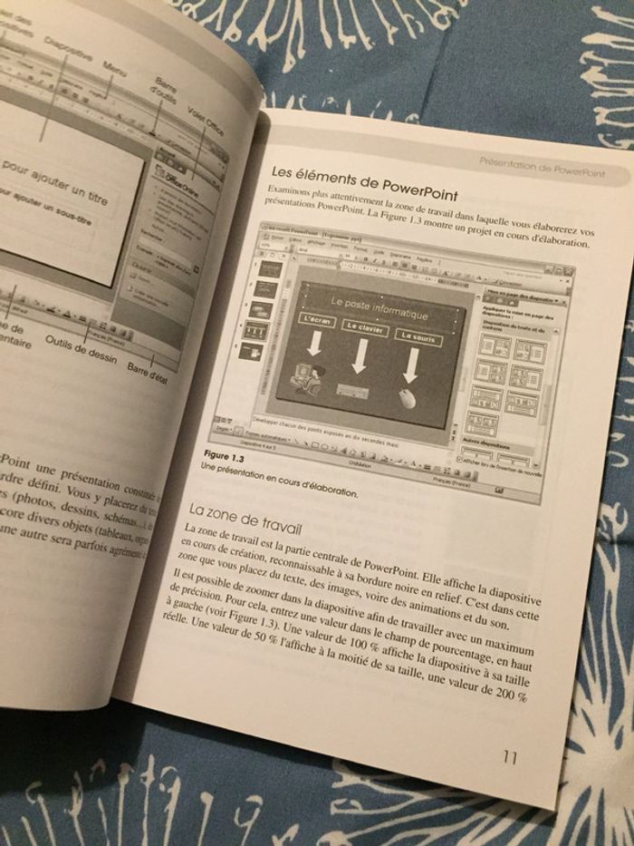 + fort en Microsoft PowerPoint XP CampusPress - photo numéro 8