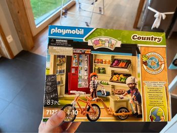 Playmobil 71250