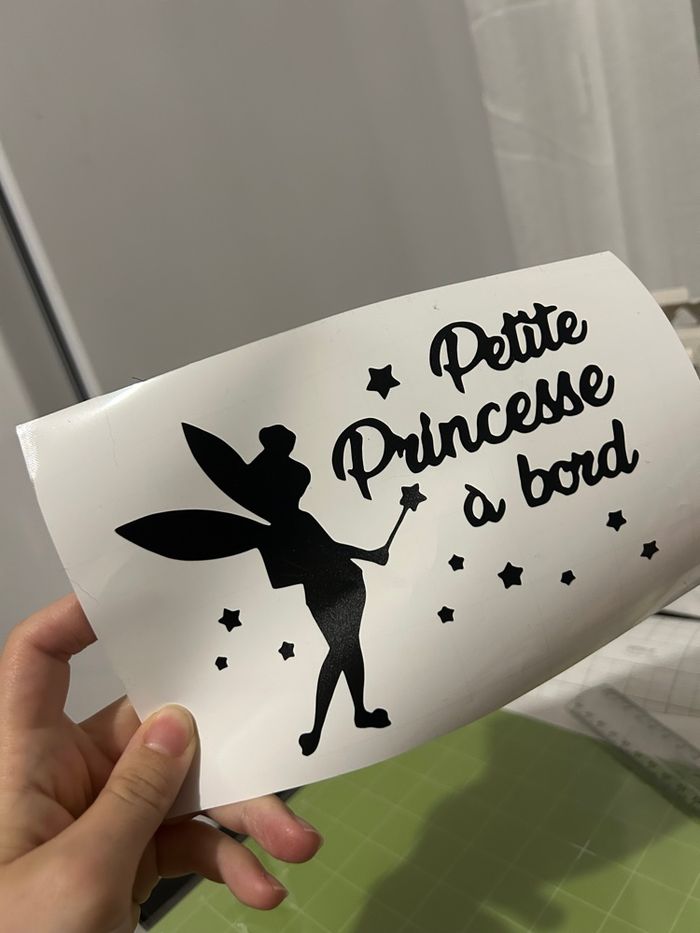 Bébé a bord - photo numéro 3