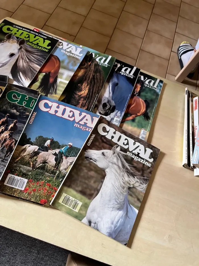 Lot de 10 anciens magazines sur les chevaux - photo numéro 2