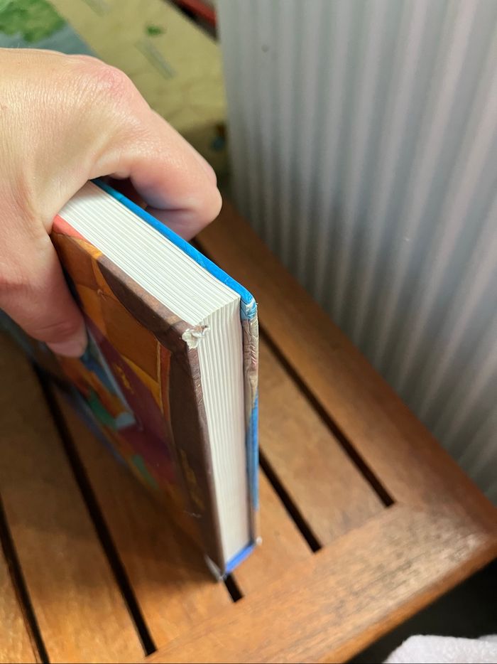 Livre Disney - photo numéro 4