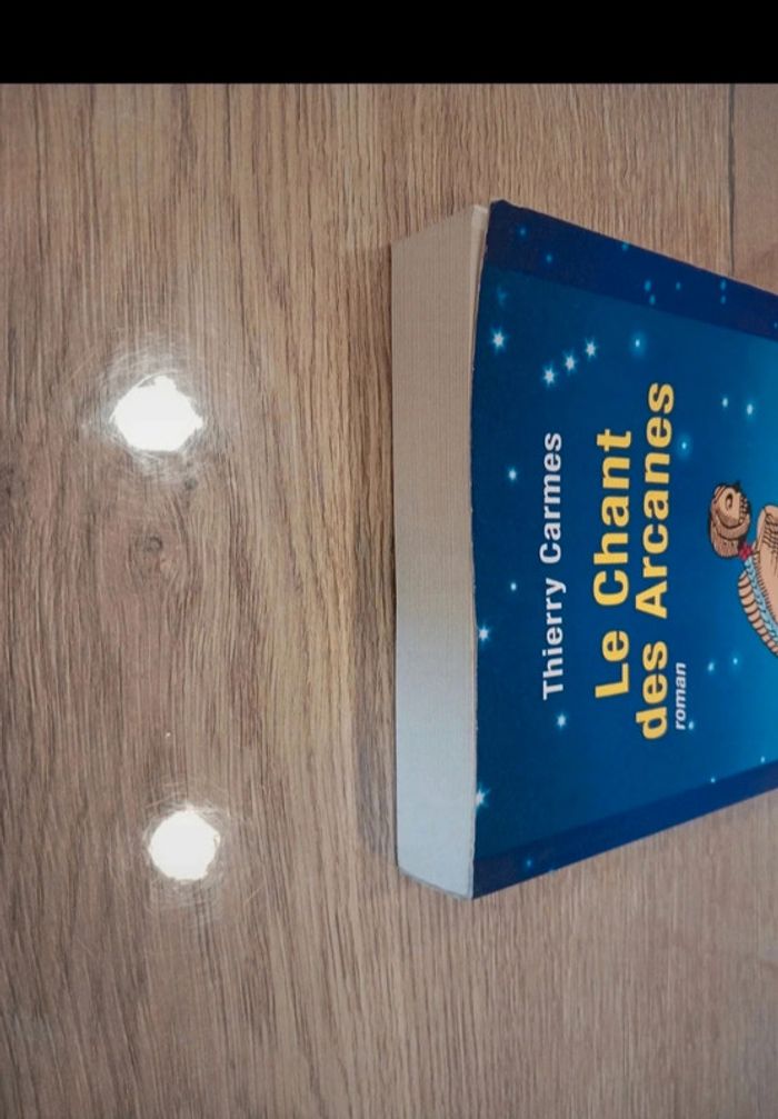 thierry carmes - photo numéro 4