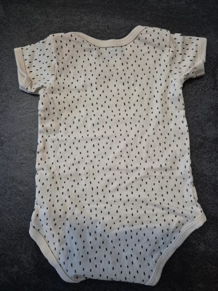 Lot de 3 bodys - photo numéro 5