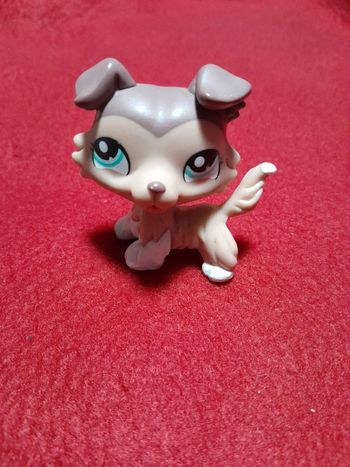 Figurine Petshop A13. A