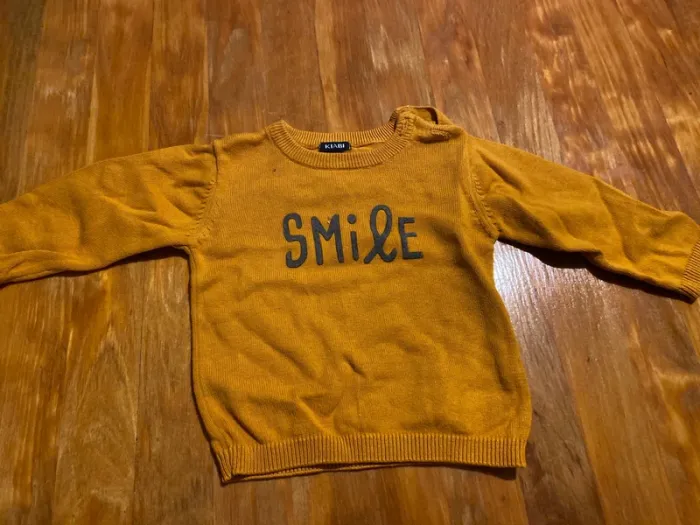 Lot de pulls et gilets 6mois - photo numéro 2