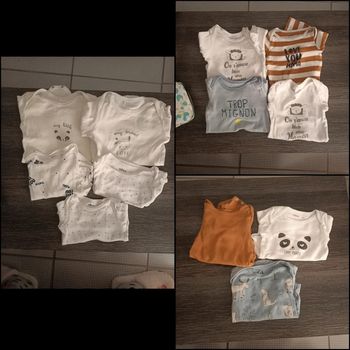 Lot bodies 12 mois