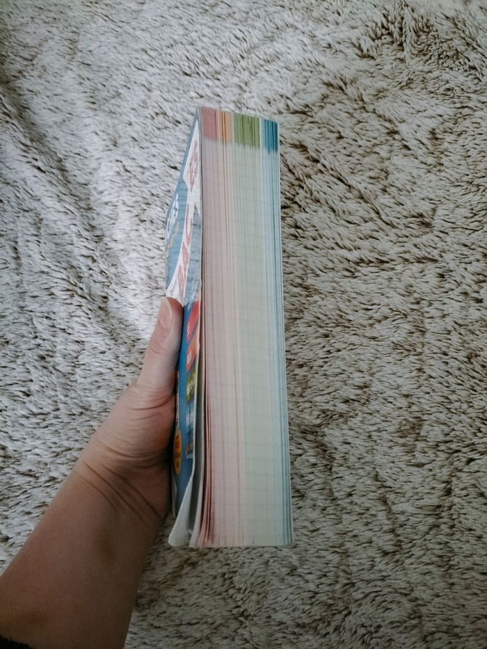 Fiches tout-en-un BAC ES (2017) - photo numéro 9