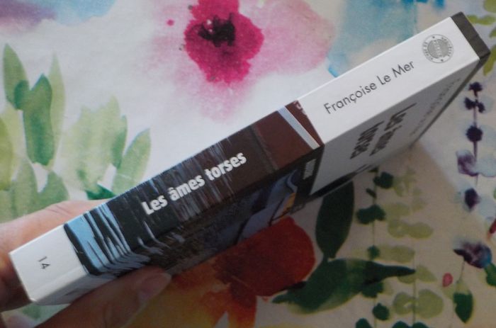 LES AMES TORSES de Françoise LE MER Ed. Palémon - photo numéro 3