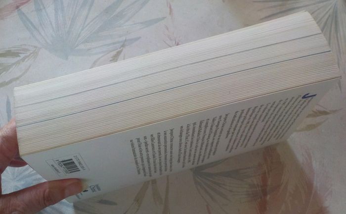 Chaque pas doit être un but Mémoires Jacques Chirac - photo numéro 4