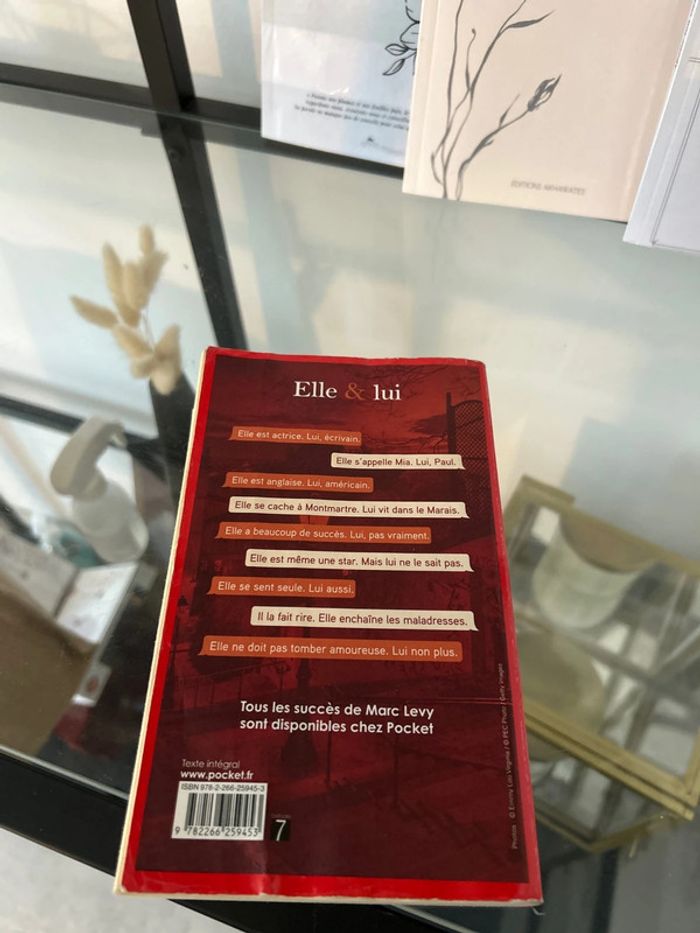 Livre de Marc Levy Elle et lui - photo numéro 2