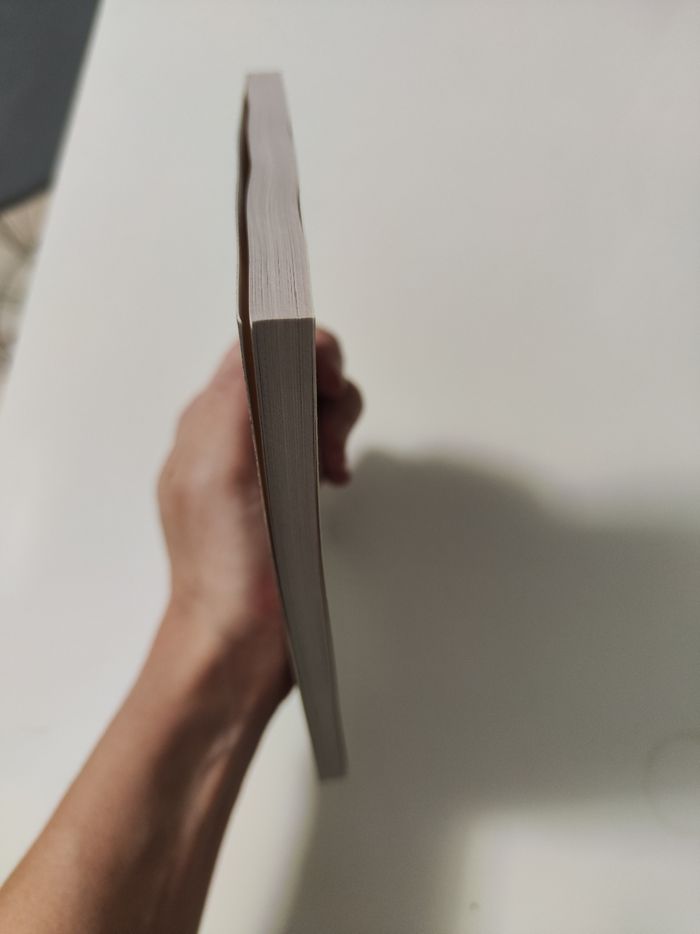 Sa passion. Véronique Olmi - photo numéro 4