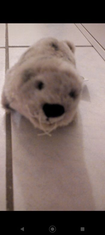 Petite peluche phoque neuve