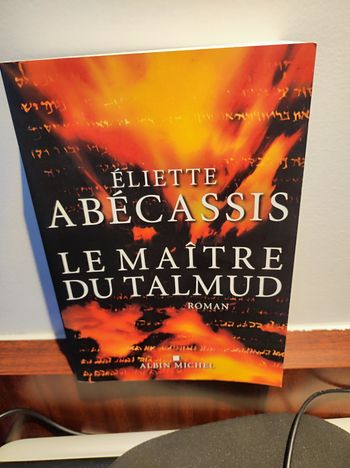 Le maître du Talmud de Éliette Abécassis
