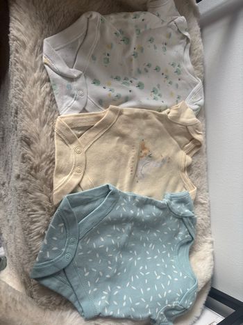 Lot de 3 bodies courte manche