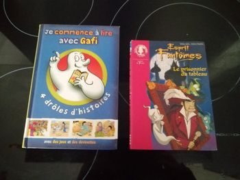Lot de 2 livres sur les Fantômes
