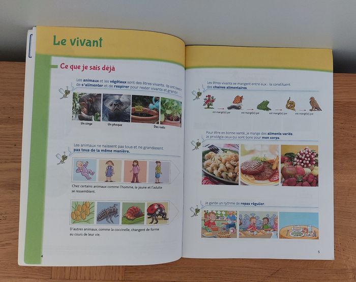 Les cahiers de la Luciole CE2 cycle 2 - photo numéro 4