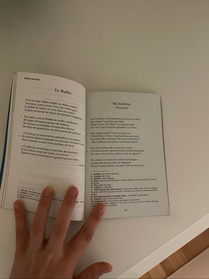 Livre les cahiers de Douai - photo numéro 3