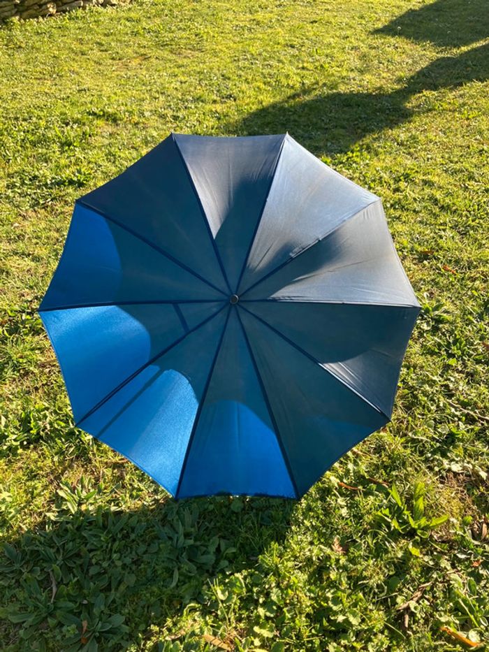 Parapluie bleu - photo numéro 7