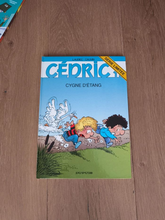 Bd Cédric cygne d'etang