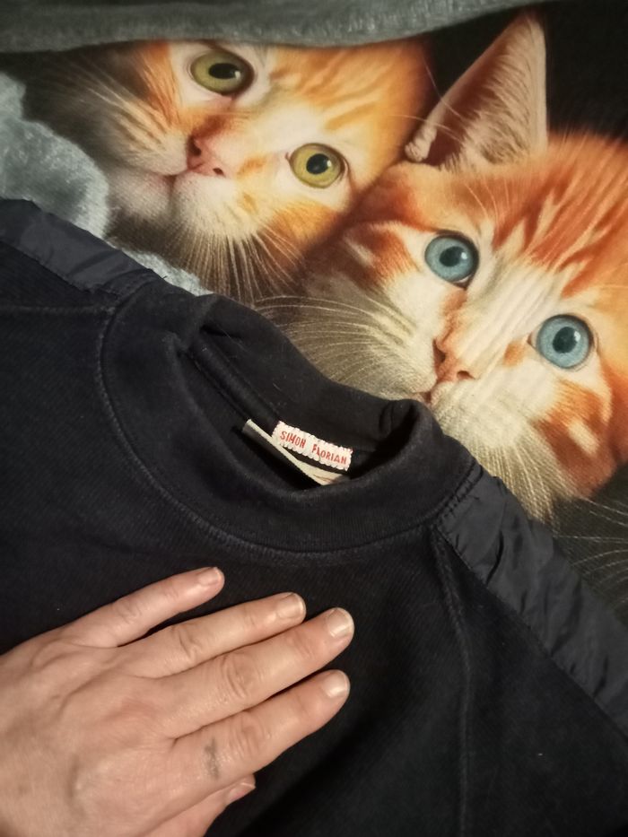 Pull (-4) - photo numéro 3