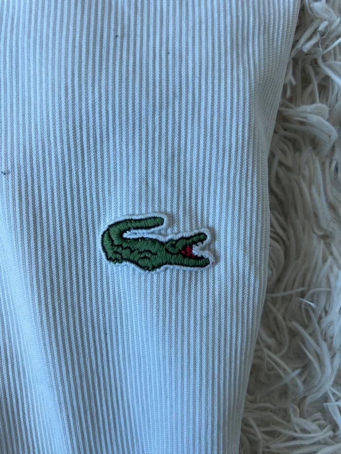 Polo Lacoste - photo numéro 4