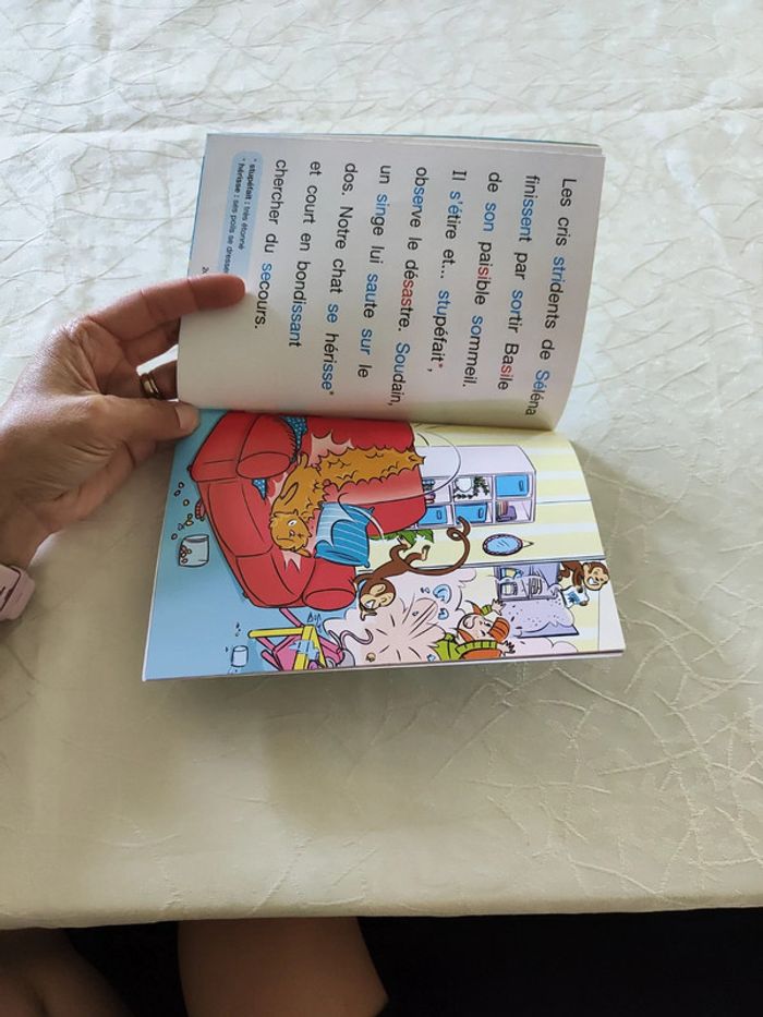 Livre - photo numéro 7