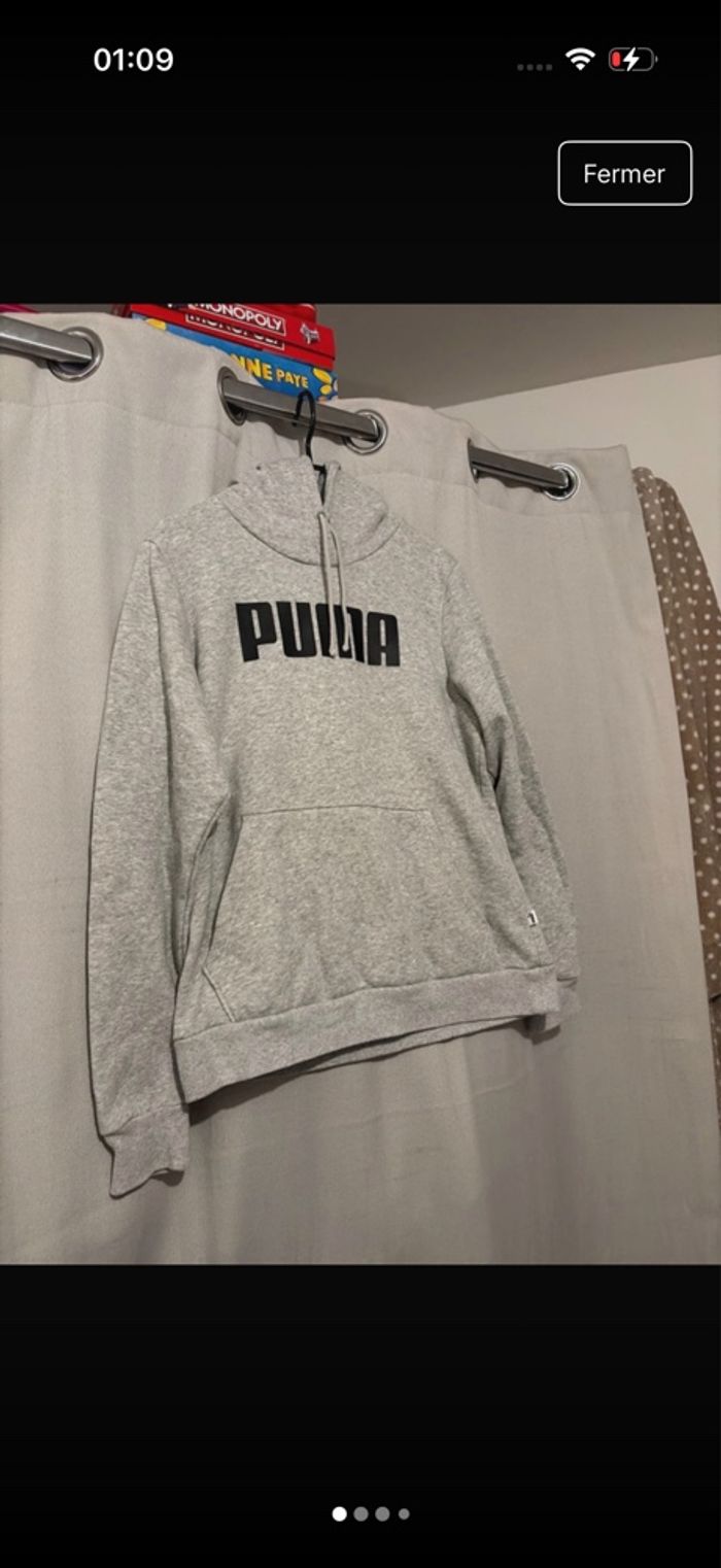 Pull puma - photo numéro 2
