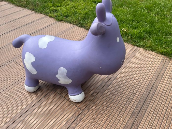 Vache sauteuse - photo numéro 3