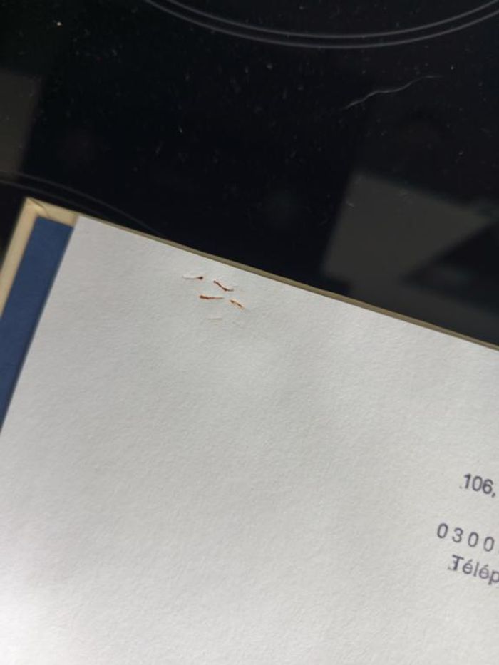 BD - Astérix - Scope - Le poteau magique - PPB - Pub - photo numéro 8