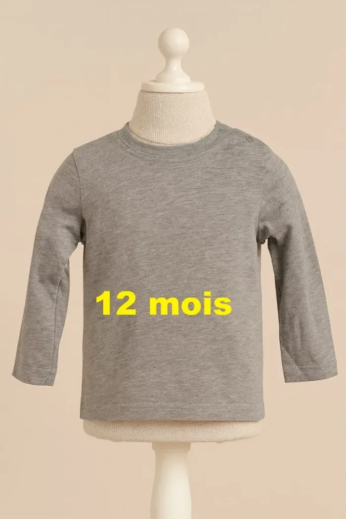 Tee shirt manche longue gris Taille 12 mois