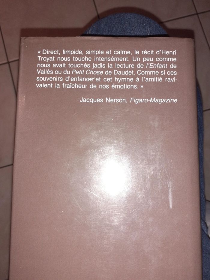 Aliocha - photo numéro 2