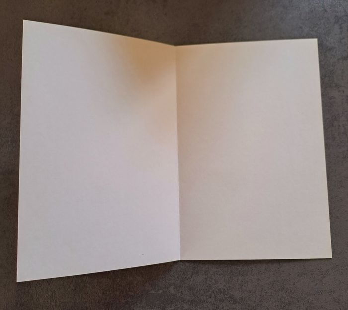Carte neuve "Souhait sincère" - photo numéro 2