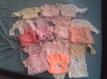 Lot 17 bodies