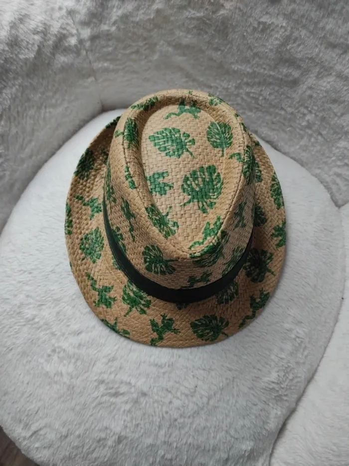 Chapeau - photo numéro 2