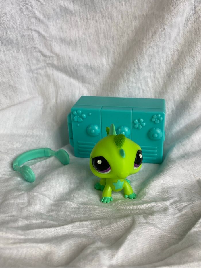 lps iguane - photo numéro 6