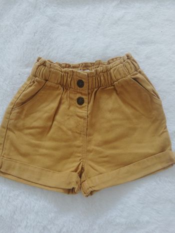 Short camel