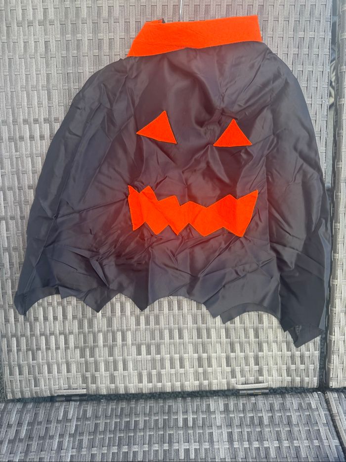 Costume citrouille Halloween - photo numéro 3