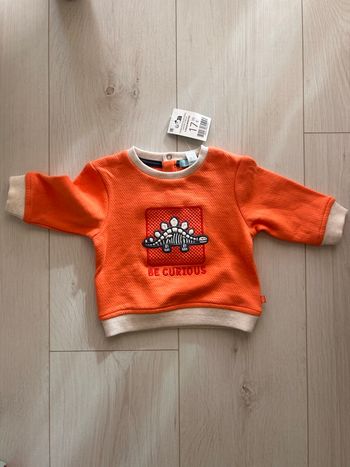 Joli pull orange dinosaure Obaïbi