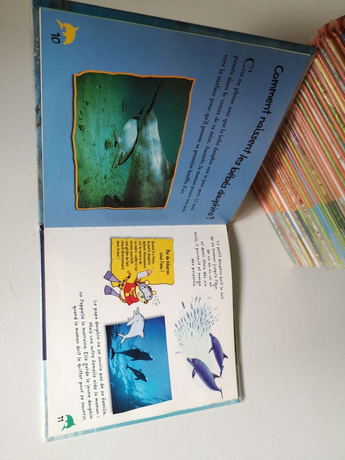Lot de Livres sur les animaux Titouli - photo numéro 4