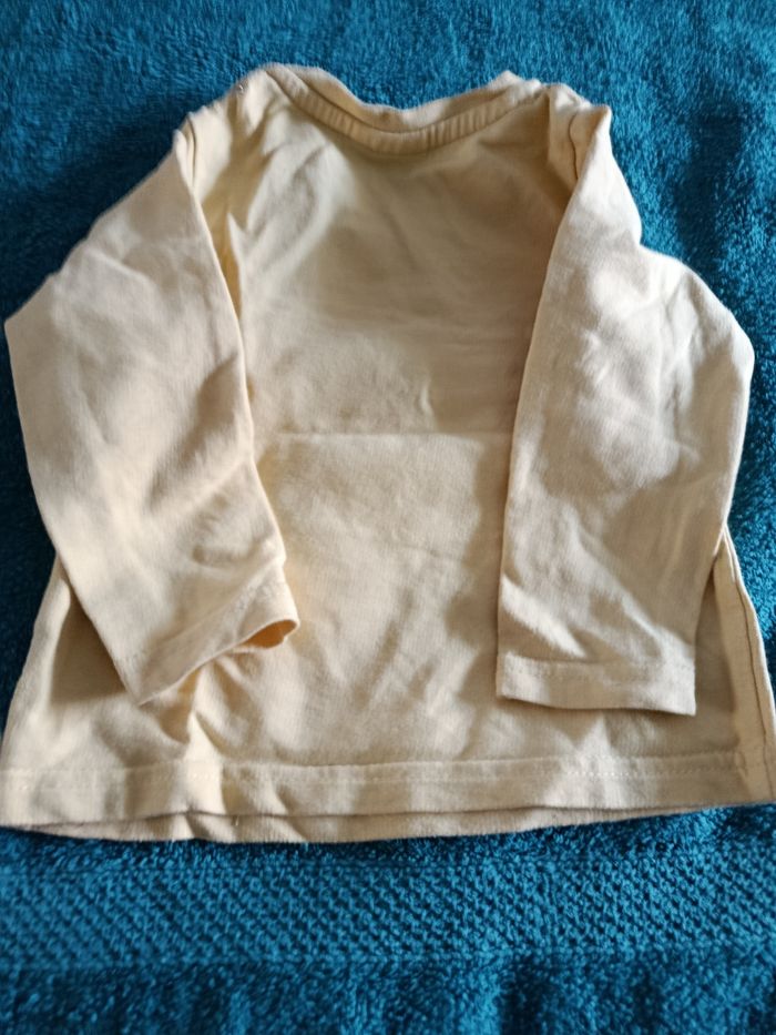 Tee shirt roi lion - photo numéro 2