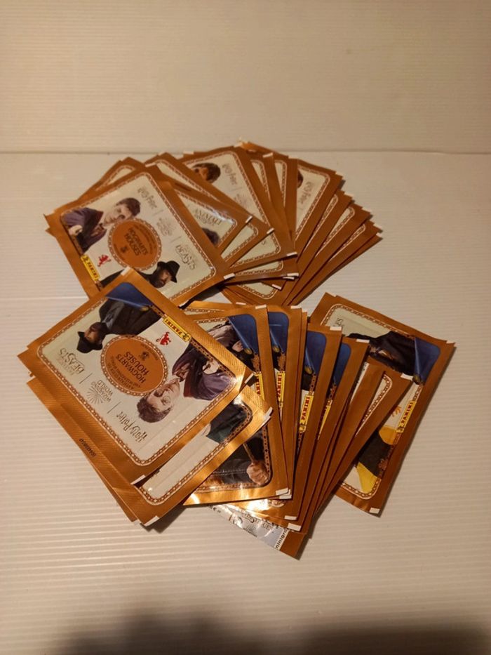 Panini harry Potter 23 pochettes