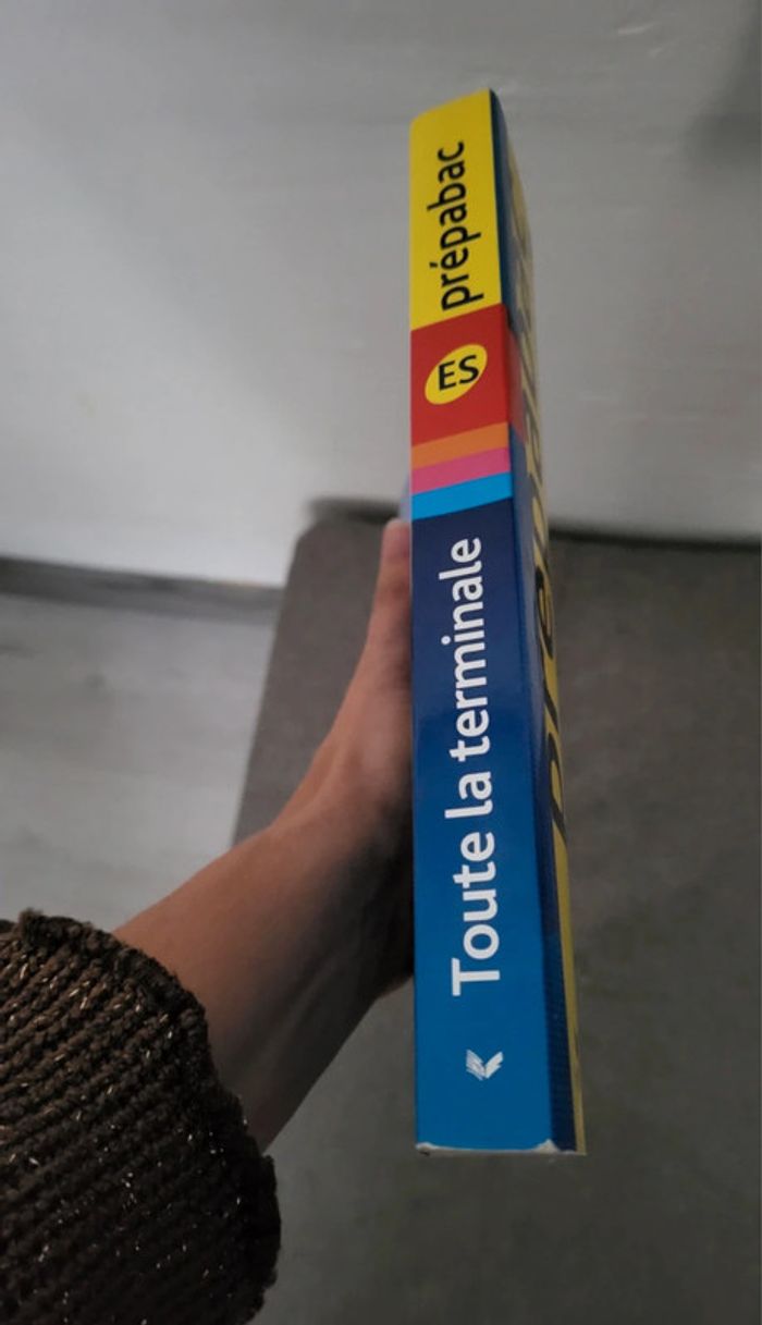 🟣 Prépabac Terminale ES 🟣 - photo numéro 3