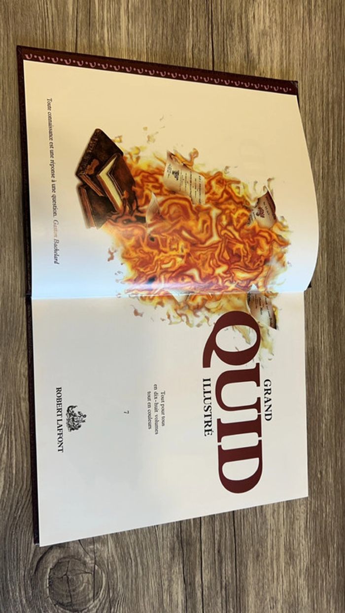 Grand quid illustré - 7