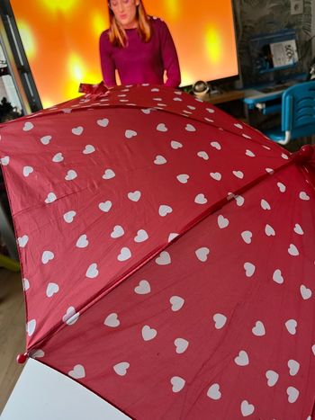 Parapluie Minnie 