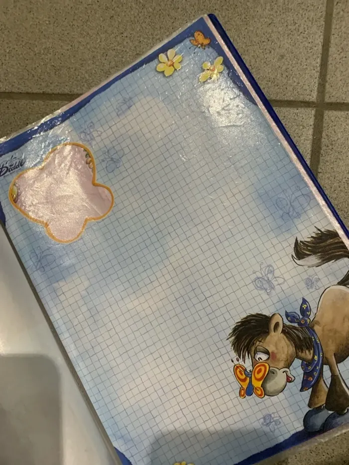 Classeur de feuille diddl - photo numéro 4