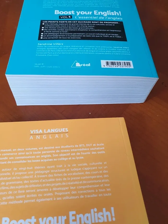 Lots livre anglais - photo numéro 5