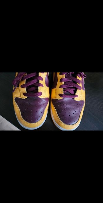 nike dunk