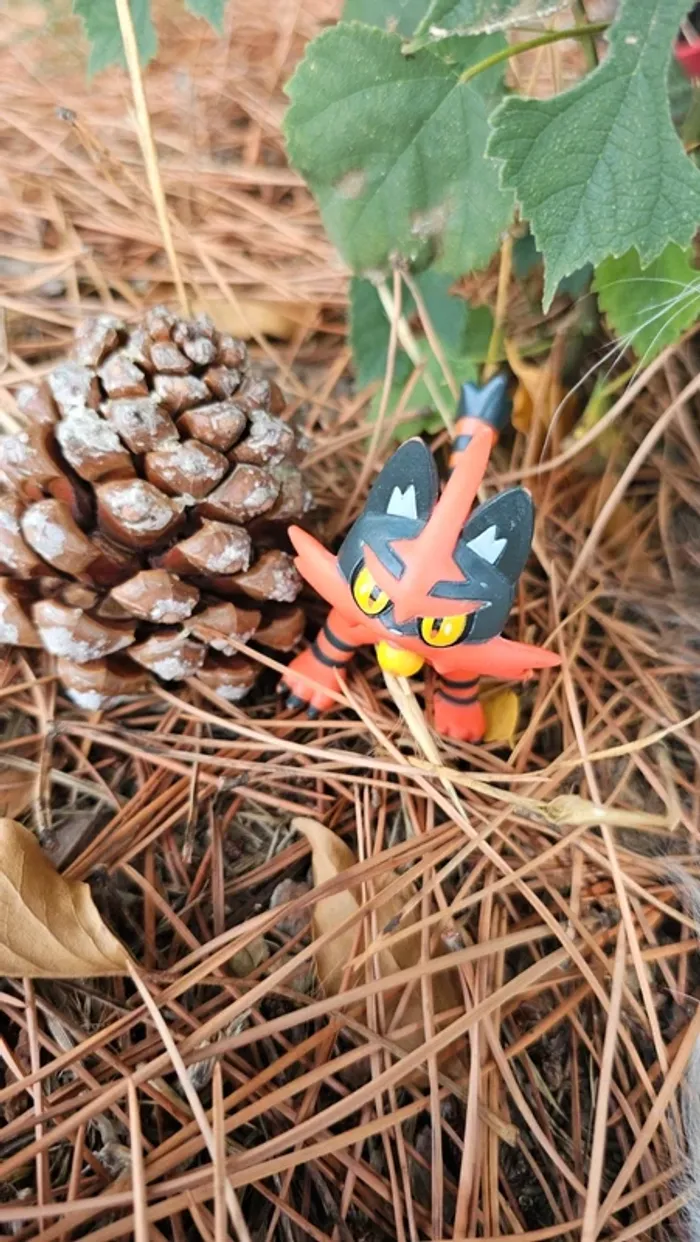 Super figurine Pokemon Nintendo Matoufeu - photo numéro 2