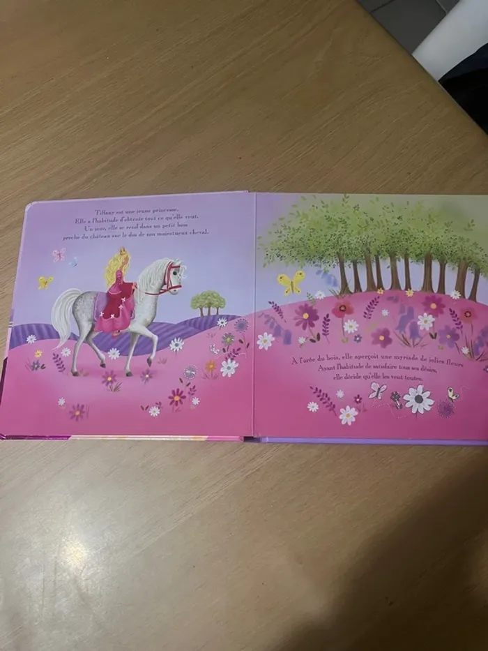 Livre princesse - photo numéro 3